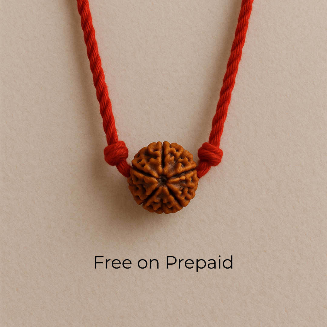 Money Magnet Pyrite Pyramid